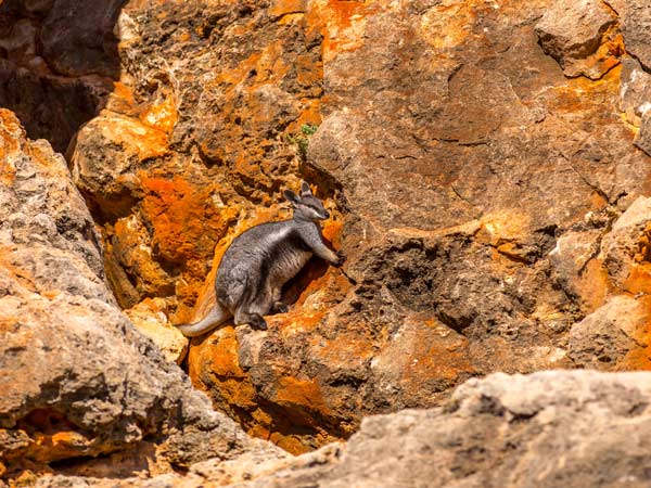 Cape Range National Park