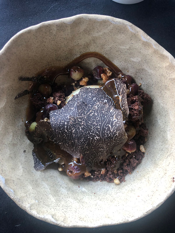 Truffles at the Southern Forests, Western Australia