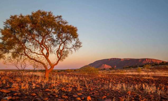 Landscape views of the Golden Outback, Western Australia