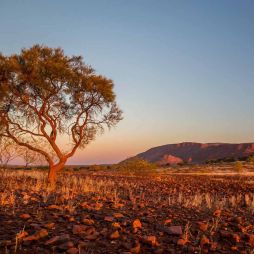 Landscape views of the Golden Outback, Western Australia