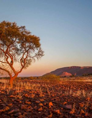 Landscape views of the Golden Outback, Western Australia