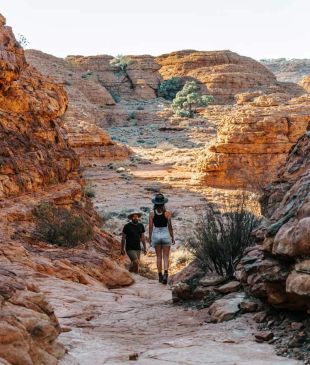 <p>The <strong>NT</strong> to get <i>new multi-day walking track</i></p>
