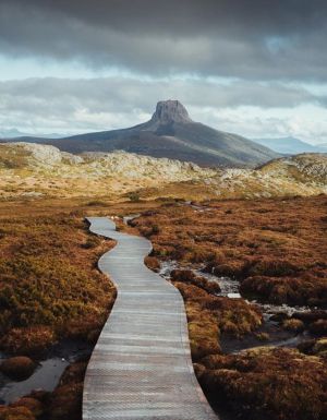 The Overland Track. (Image: Emilie Ristevski)