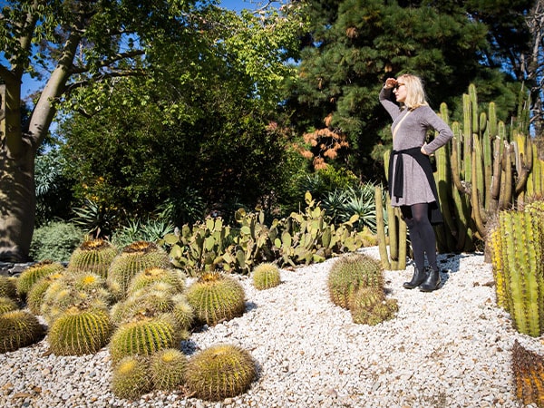 Geelong Botanic Gardens, VIC, Australia
