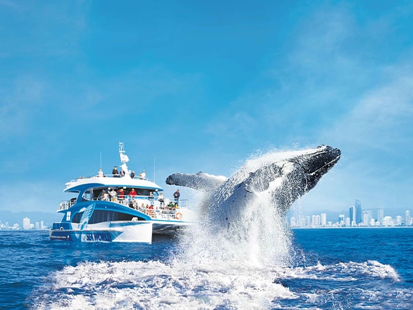 Sea World, Gold Coast, QLD Australia