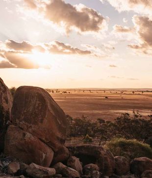 <p><strong>The Wheatbelt</strong> is calling: <i>silo art</i>, salt lakes, and a wave rock awaits</p>
