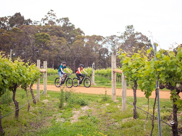 Easy Ride Tours, Margaret River, WA