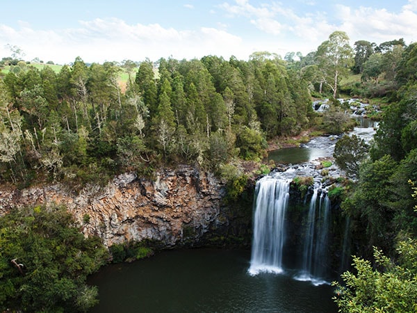 Dangar Falls in Coffs Coast, NSW, Australia