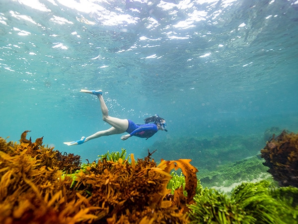 A woman freedives along reefs in Australia.