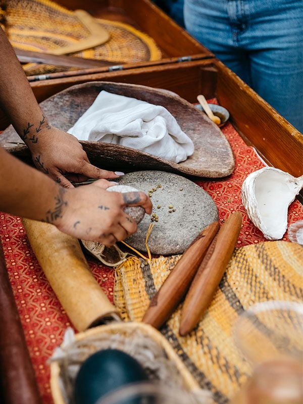 Indigenous Tour of Royal Botanic Garden Sydney