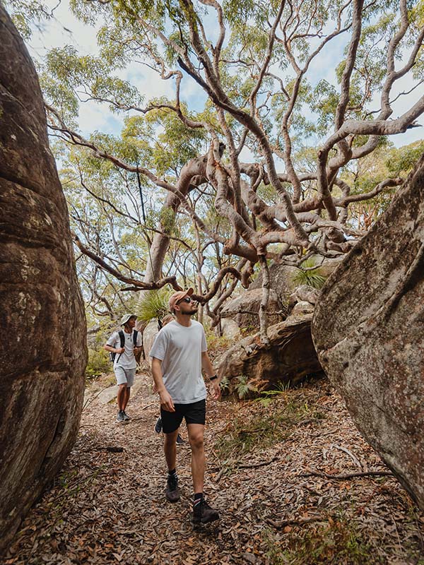 A man walks through the bush on the Central Coast, Australia