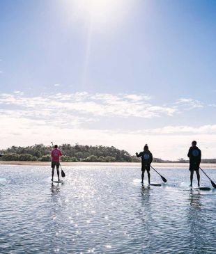 <p><i>How</i> <strong>Australia’s</strong> tourism industry is leading the way in sustainability</p>
