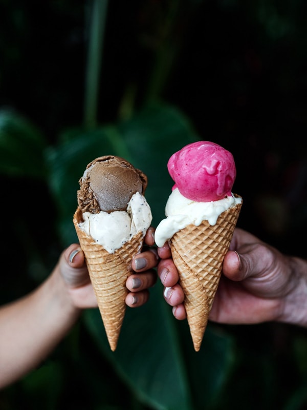 ice cream from Daintree Ice Cream Company