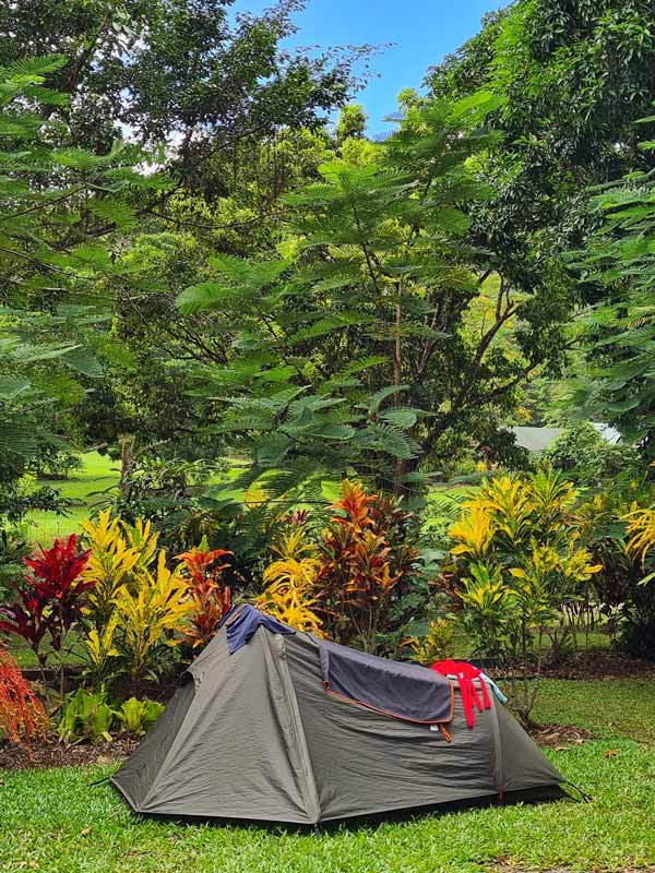 A tent in front of the rainforest. (Image: Daintree Rainforest Village)