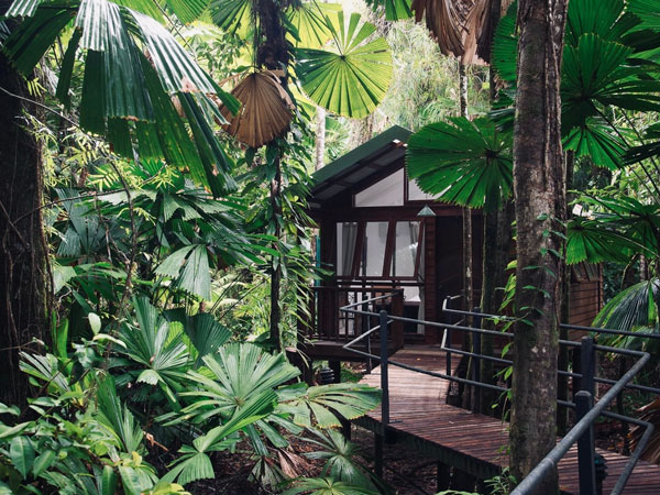 the rainforest cabin at Daintree Wilderness Lodge