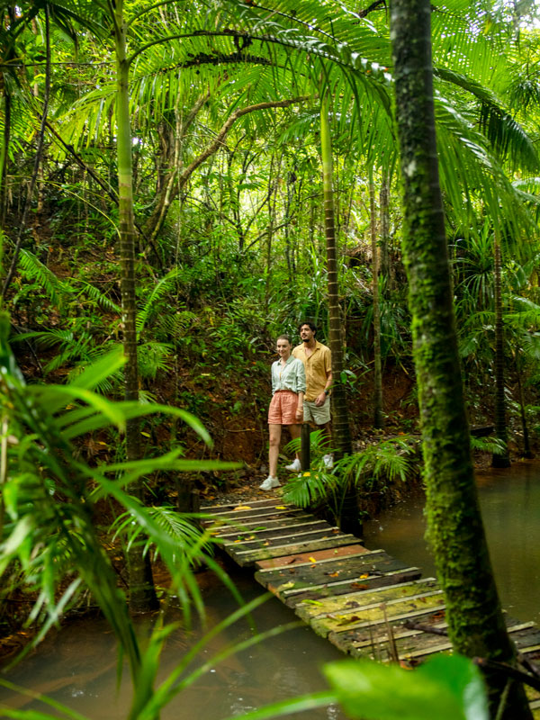 a couple walking in the middle of the rainforest at Daintree Siesta