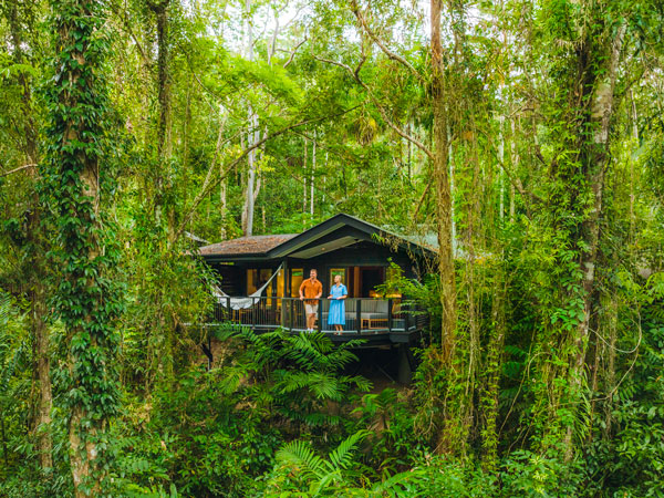 the Treehouse Retreat at Silky Oaks Lodge, Daintree