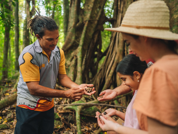 Ngana Julaymba Dungay: We Are All Going Daintree guided tour, Walkabout Cultural Adventures