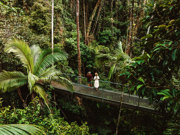 two people standing on a hanging bridge in Daintree National Park