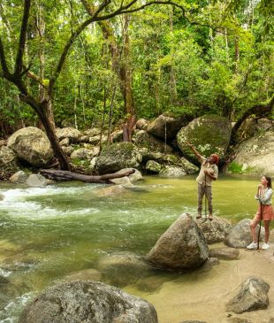 <p>10 of the best <strong>Daintree</strong> tours to uncover the <i>world’s oldest rainforest</i></p>
