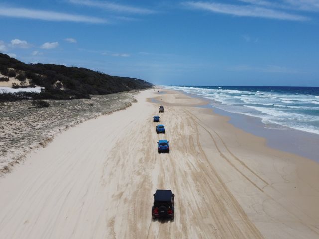 line of 4wd on Dingo’s K’gari Adventures tour