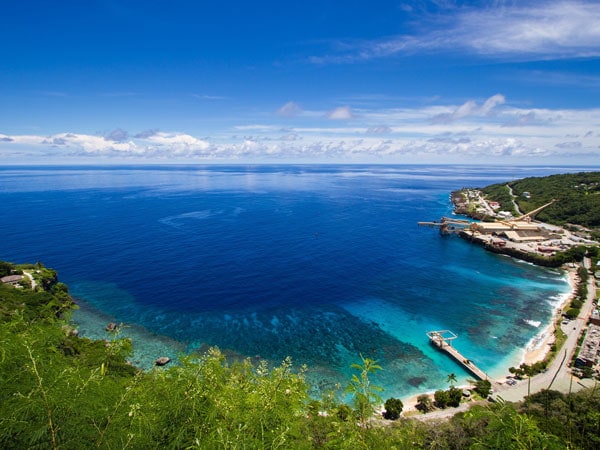 Flying Fish Cover from above