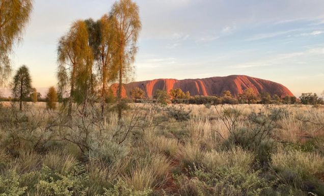 Uluru at sunrise