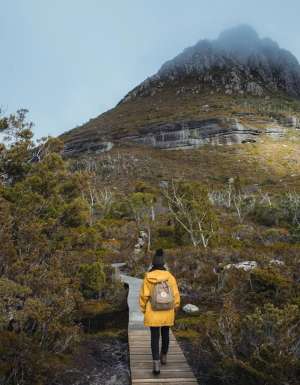Walk in Cradle Mountain National Park