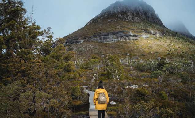 Walk in Cradle Mountain National Park