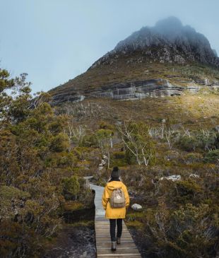 <p><i>The most incredible walks</i> in <strong>Cradle Mountain</strong></p>
