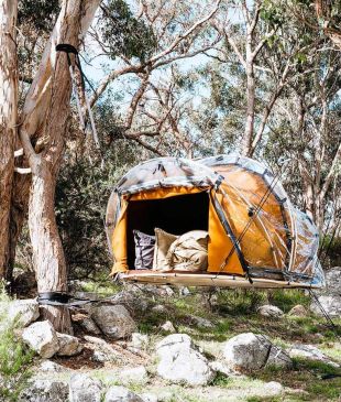 <p><i>First look</i>: We found <strong>Australia’s</strong> first bubbletent in a tree</p>
