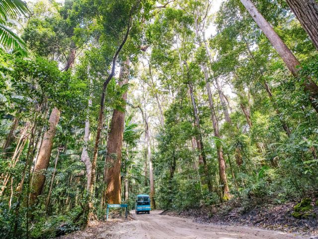 Kgari Beauty Spots Tour bus in rainforest