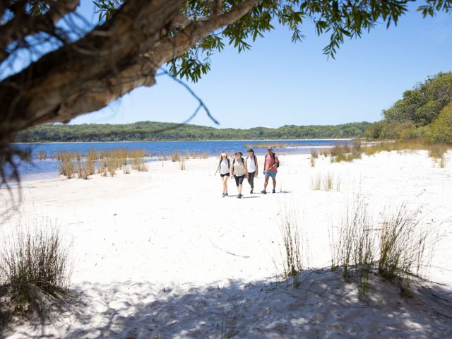 K'gari Walking Tours