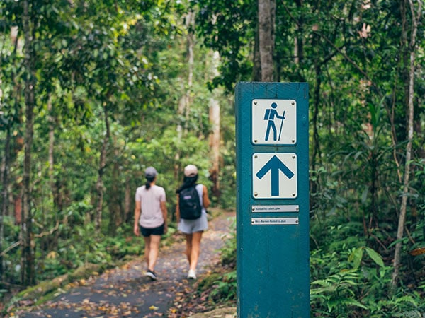 Kondalilla National Park, Montville, Sunshine Coast, Queensland, Australia