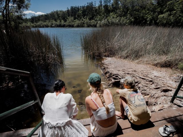 people sitting on the edge of LAke Allom on k'gari fraser island