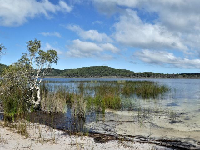 Lake Birrabeen on k'gari fraser island