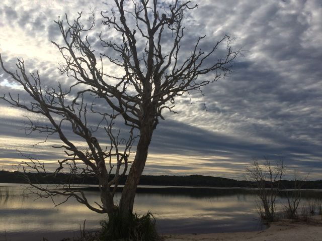 Lake Boomanjin on k'gari fraser island