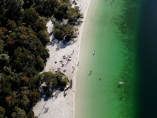 aerial of people swimming in Lake Mckenzie on k'gari fraser island