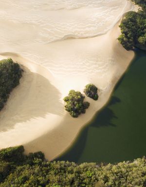 aerial of Lake Wabby & Hammerstone Sand Blow, k'gari lakes