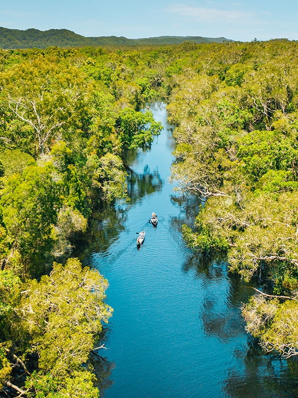 Kayak Tours, Everglades, Noosa, Sunshine Coast, Queensland, Australia