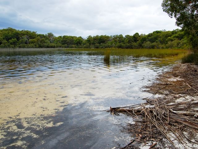 Ocean Lake on k'gari fraser island