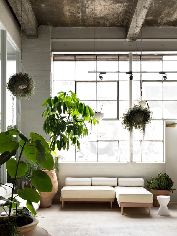 Couch and plants fill the waiting room at Sense of Self. (Image: Martina Gemmola)