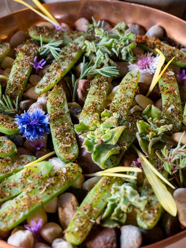 Gin-compressed cucumber sprinkled with crunchy green ants and celery salt 
