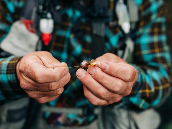 Fly fishing in Cradle Mountain