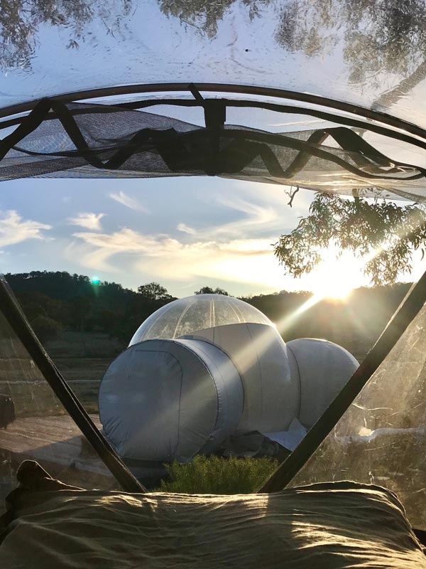 Mirumiru Mary Ann Bugg suspended bubbletent