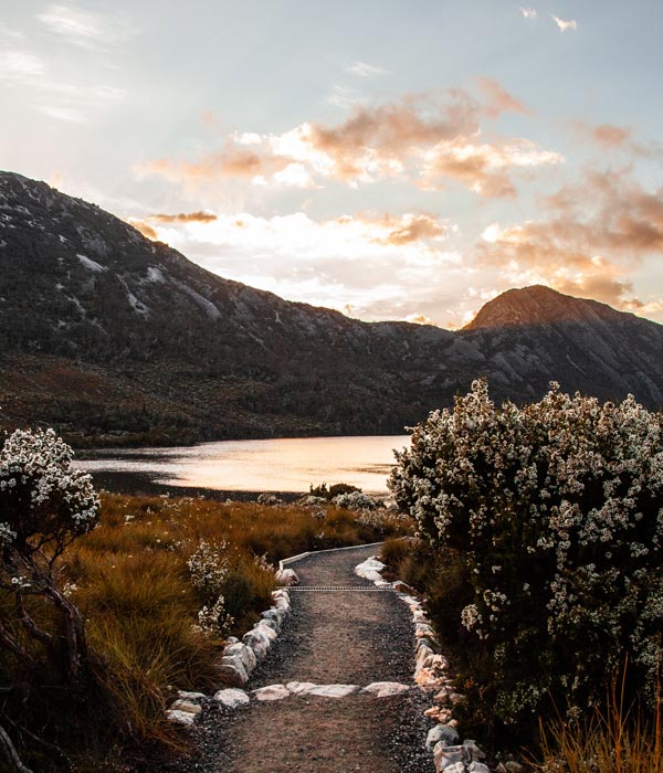 Views of Cradle Mountain on a walk