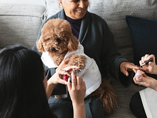 Dog and owner getting their nails painted at Zagame's House. (Image: Wasamedia)