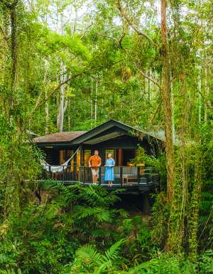 Silky Oaks Lodge. Daintree accommodation