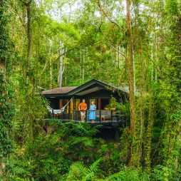 Silky Oaks Lodge. Daintree accommodation