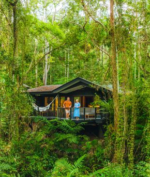 <p>The 14 <i>best</i> <strong>Daintree</strong> accommodation picks for <i>instant access</i></p>
